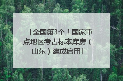 全国第3个！国家重点地区考古标本库房（山东）建成启用